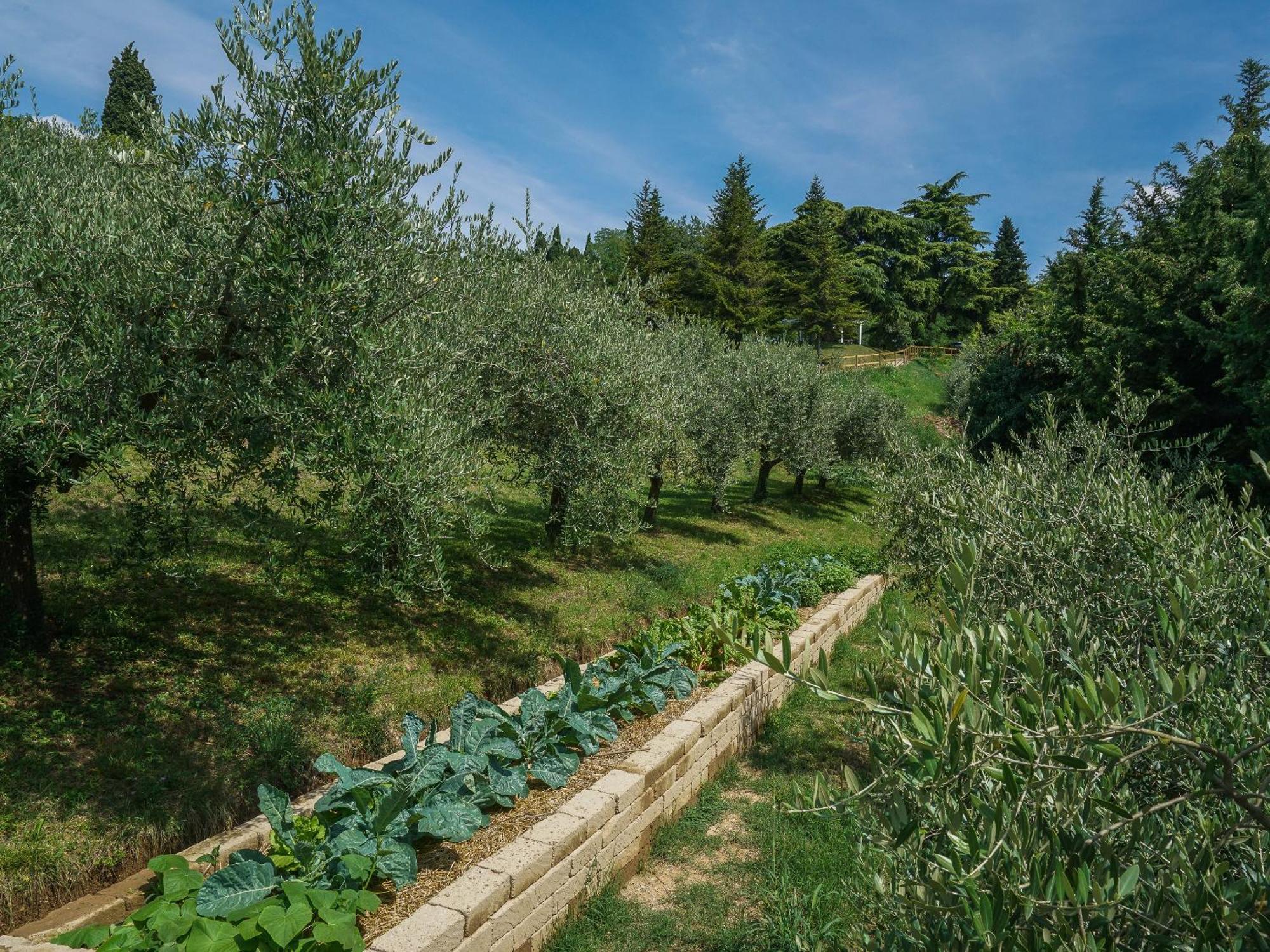 Hotel Cà Toresele Relais Osteria Garden 3*