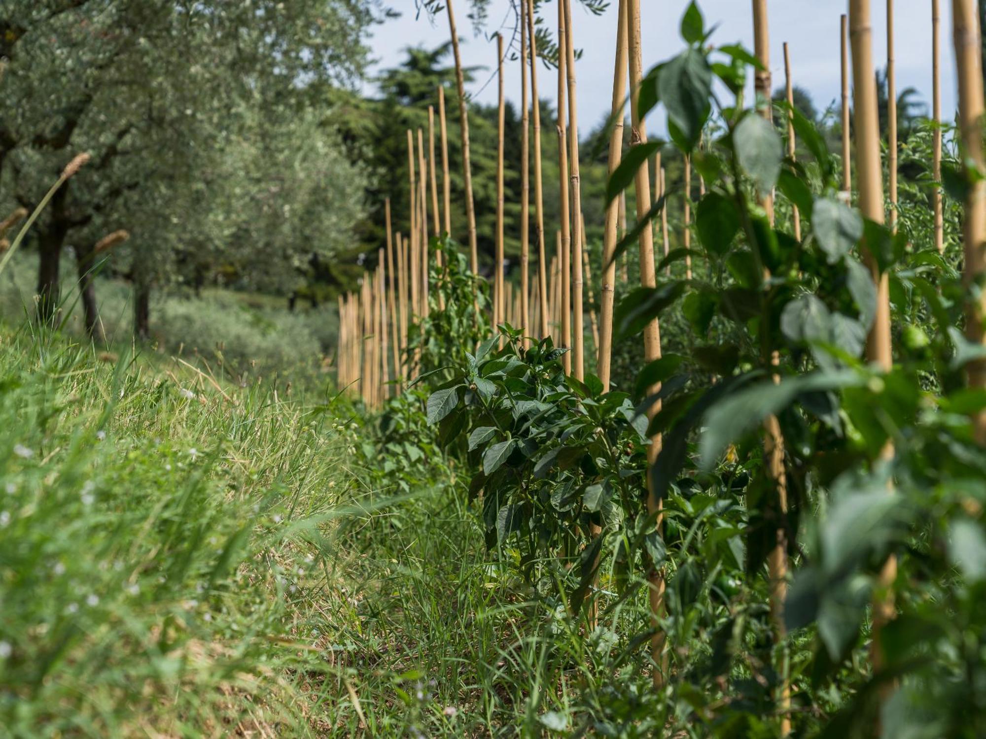 Cà Toresele Relais Osteria Garden Verona
